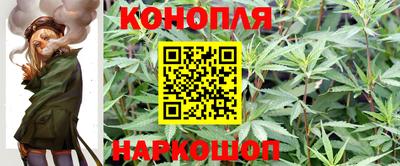 дурь Берёзовский