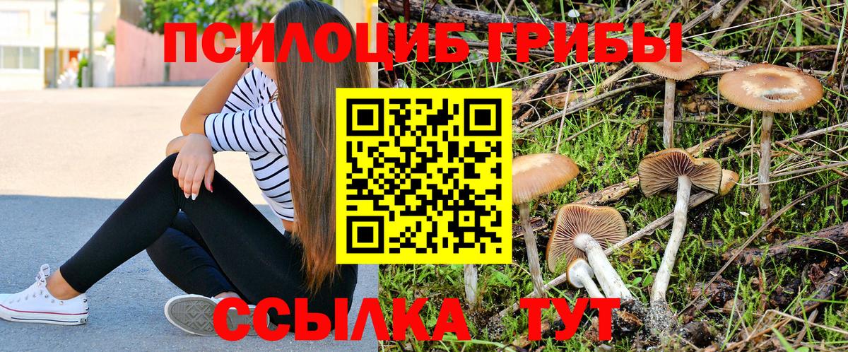 Галлюциногенные грибы ЛСД Златоуст